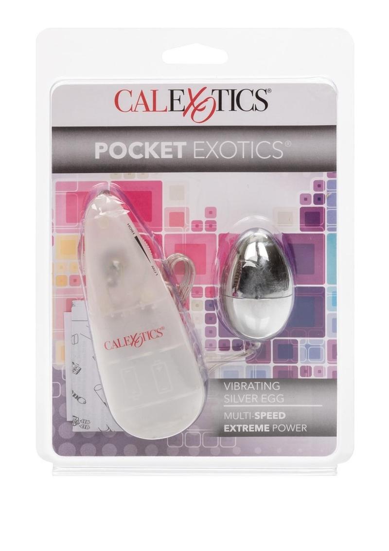 Pocket Exotics Vibrating Silver Egg with Wired Remote Control - Silver
